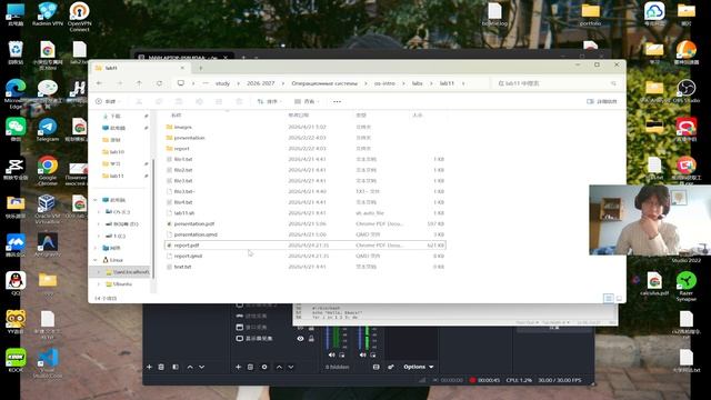 Лабораторная 11. Подготовка презентации