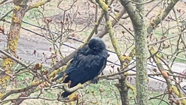 Смотри на меня делай как Я