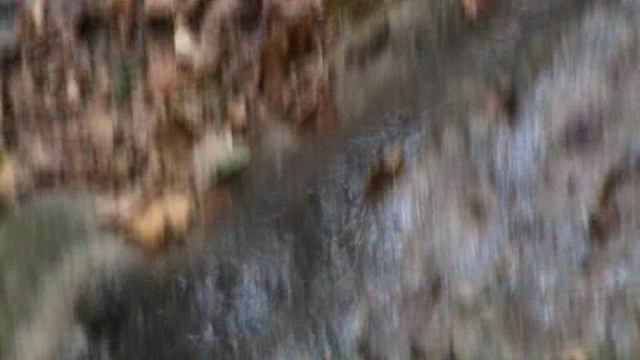 175и МАМЕДОВОЕ УЩЕЛЬЕ