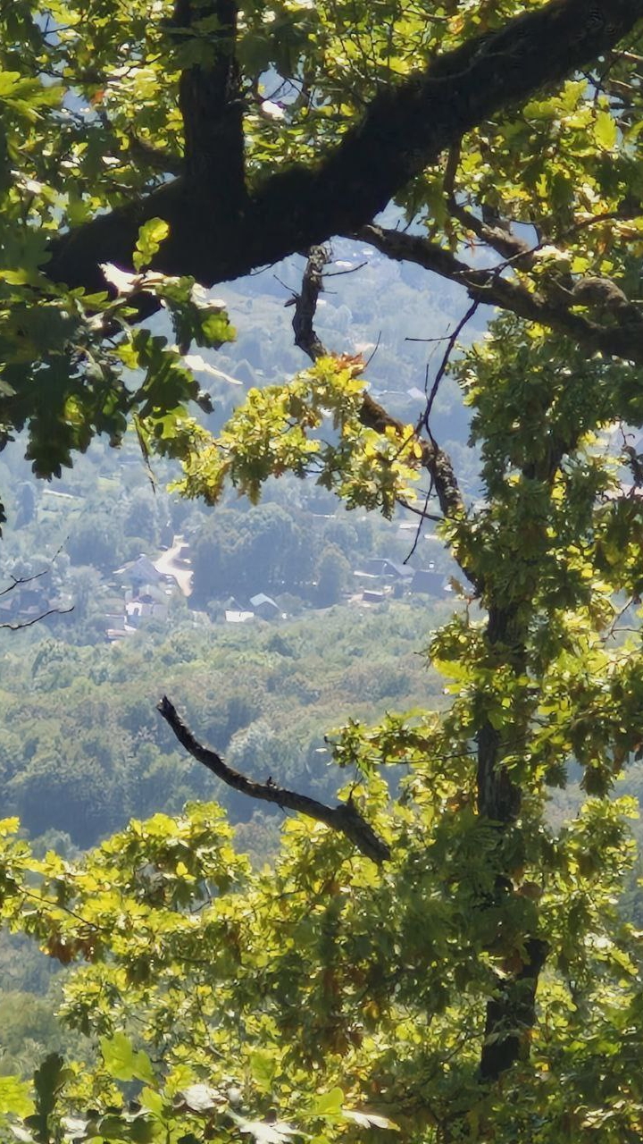 КРАСНОДАРСКИЙ КРАЙ ПОС. МЕЗМАЙ  УЧАСТОК 35 СОТ. СНТ ДНП.