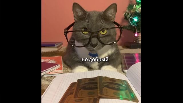 видео с канала котинет: ЕСЛИ БЫ КОТИКИ ХОДИЛИ В ШКОЛУ- НОВОГОДНИЕ КАНИКУЛЫ