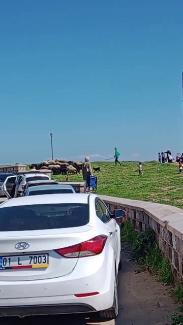 Они милые но вонь столит нереальная