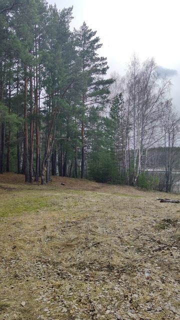 Новый год напомнил о себе