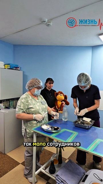 Ветеринарная клиника в Калуге Жизнь