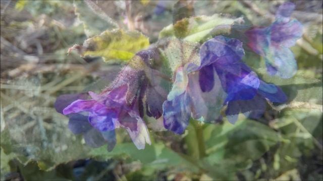 Месяц начался.