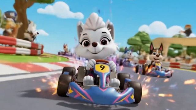 Щенячий патруль Скай Маршал Эверест Гончик Крепыш и Роки катаются на картинге. Для детей!