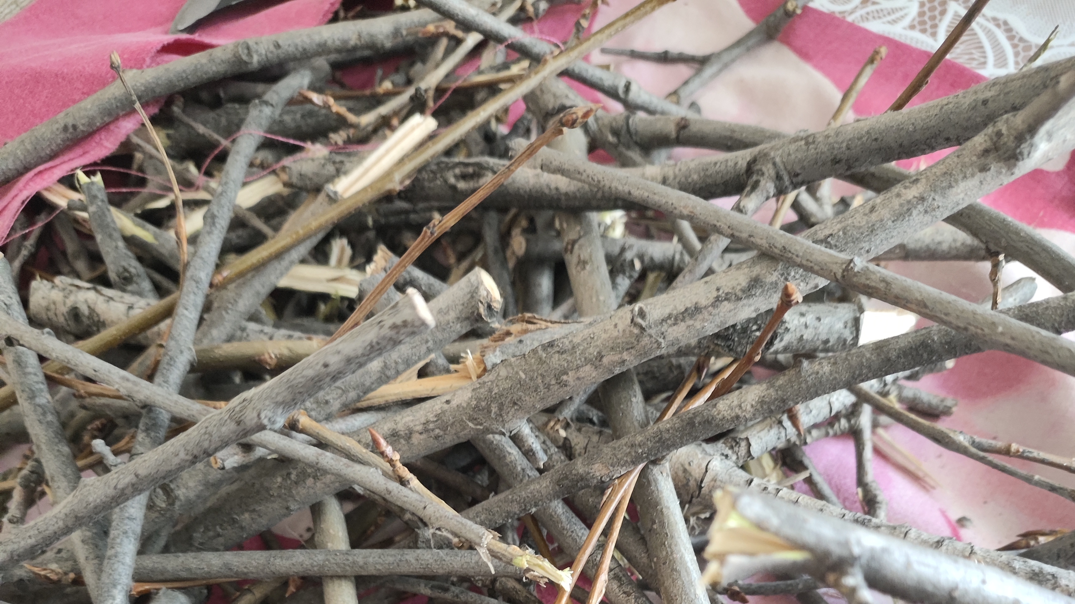 Осинка. Собрали и что делаем дальше?