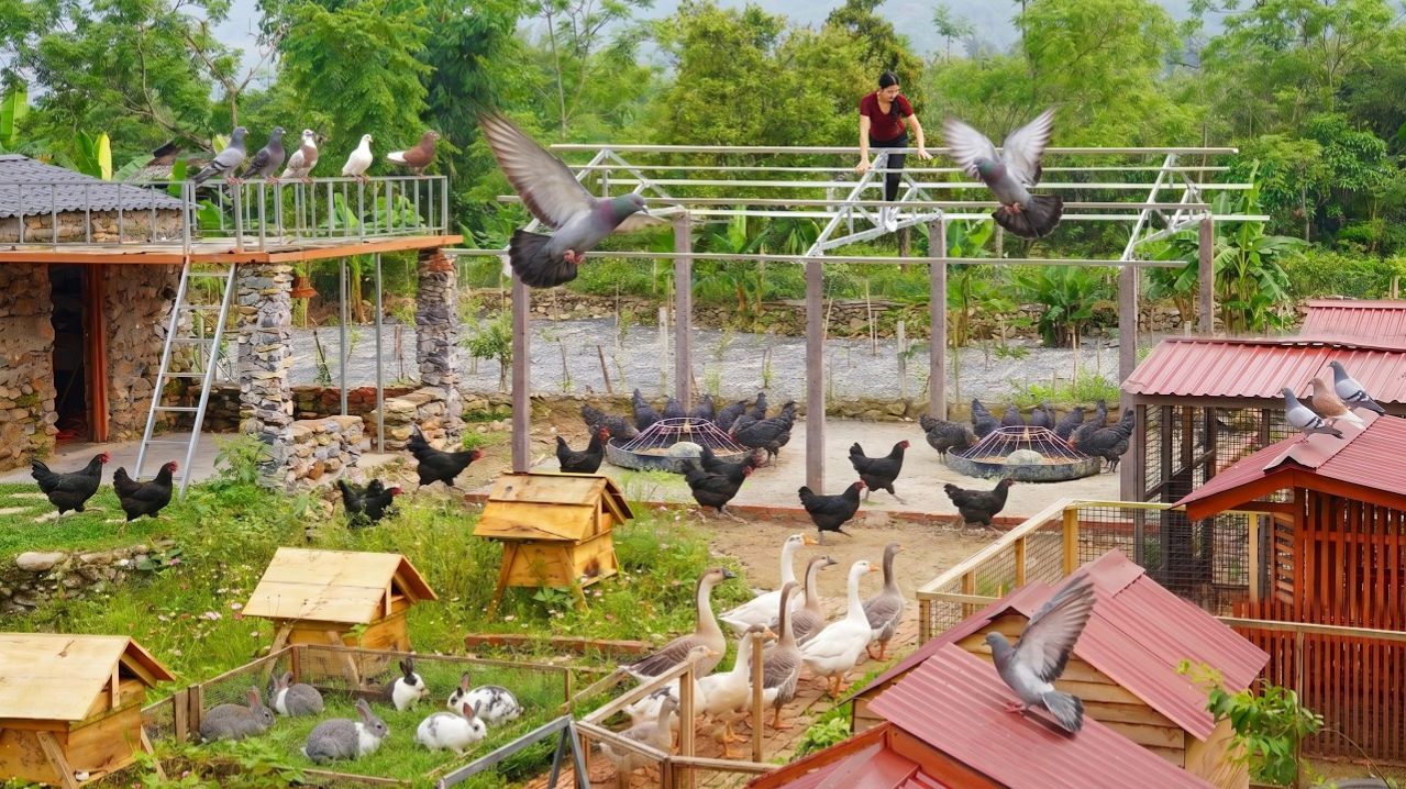 Прочный сарай для скота своими руками с бетонными столбами и стальными рамами  фермерское здание