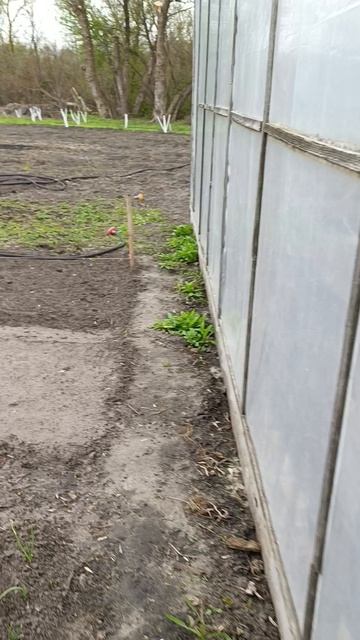 Подготовка огорода.