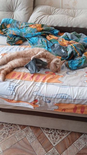 мои милашки