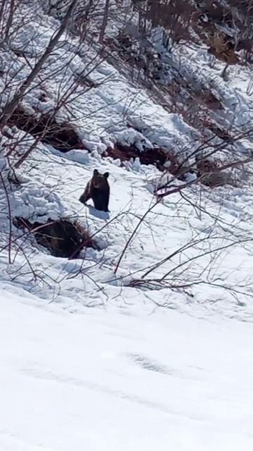 VID_20260424_134827.mp4