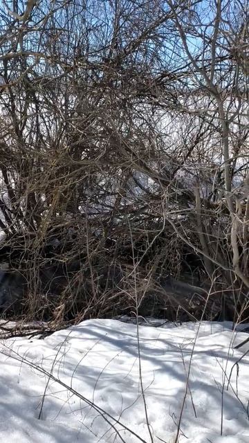 Весенний ручей в поле