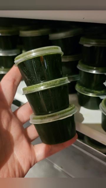 Витграсс в наличии и под заказ