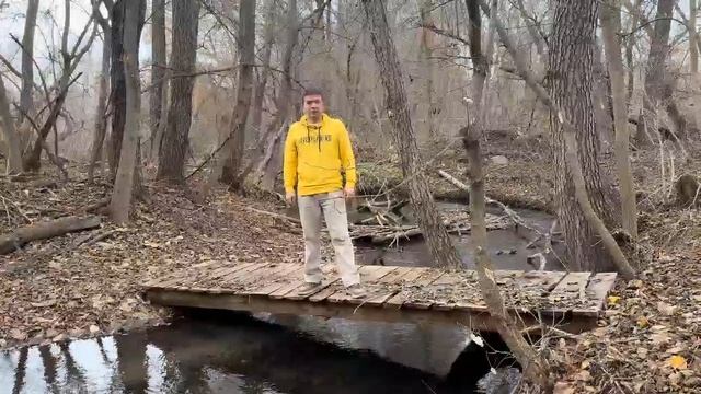 Коренные ульяновцы отправляют губернатора Русских в отставку