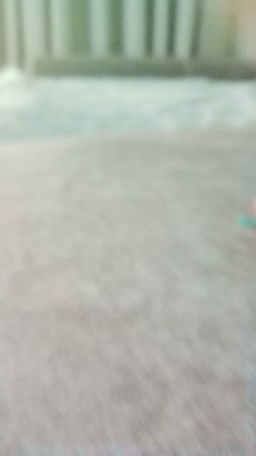 когда появились монстриксы