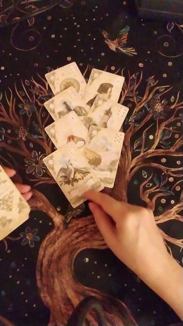 Подарок Вселенной для вас