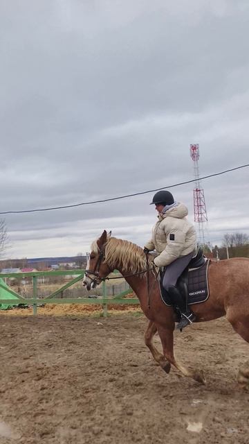 Даша и Каспер пятнадцатиметровый вольт на плацу.
