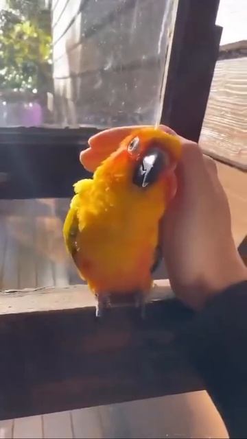 Обнимашки нужны всем