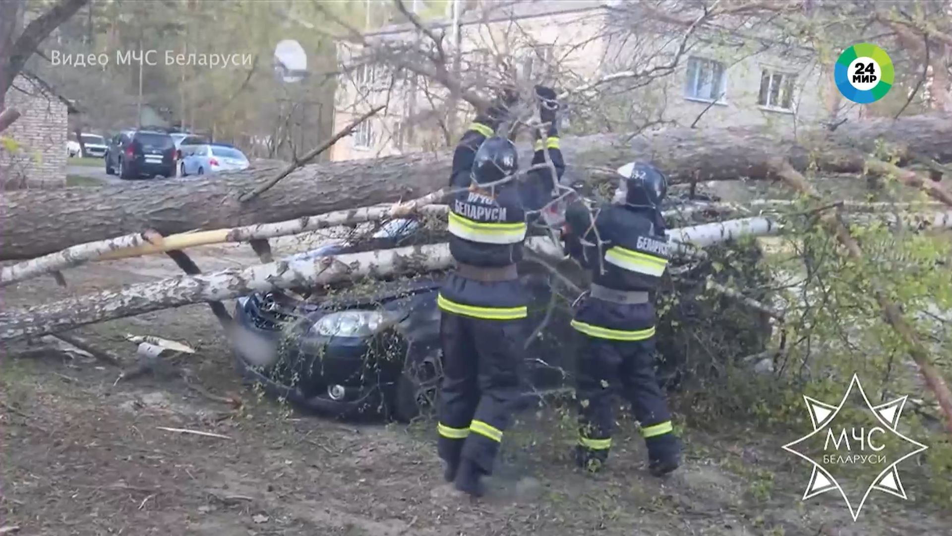 Непогода в Беларуси: повалены деревья нарушено электроснабжение
