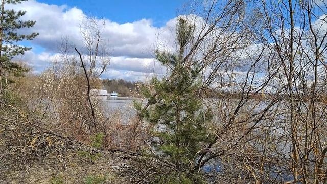 Затон для кораблей.