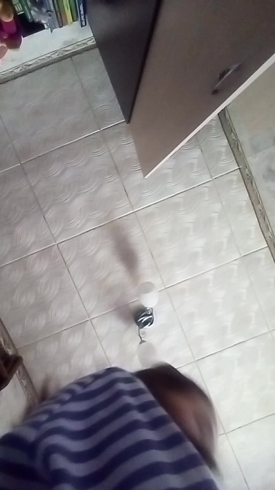 Реборн илона