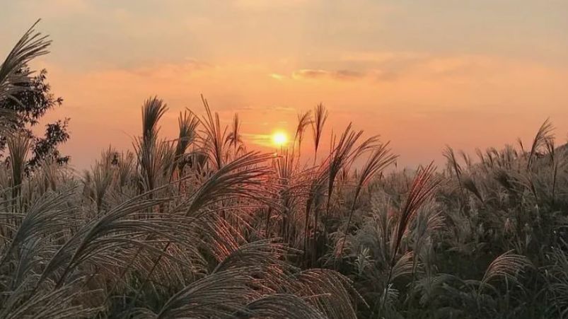 Слаймы без звука чтобы родители ночью не спалили или когда делаешь уроки