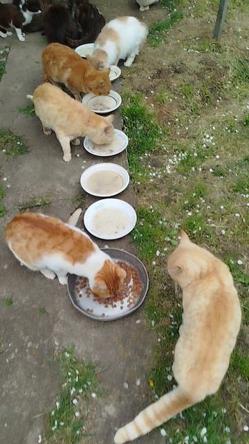 Помогите по возможности