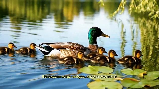 ОПАСНАЯ ПТИЦА ВАШЕГО ДВОРА: ЗАГАДКИ ВОРОН 