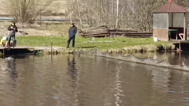 Светлые Горы Форель10 25.04.2026г.