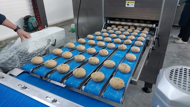 Автоматическая линия формовки шариков теста QLLF-B6: от 3 000 до 12 000 заготовок в час