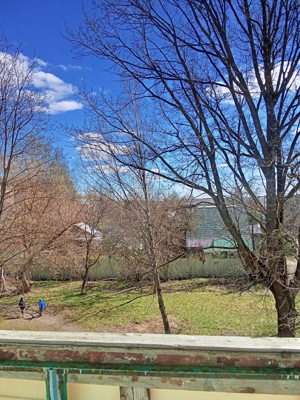 Игра с котятами