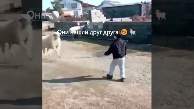 Video_2026-03-06_10-46-58