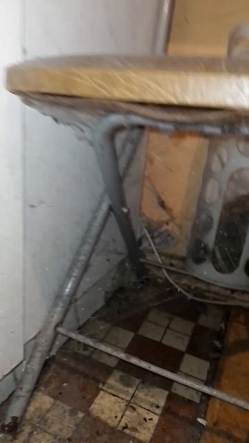 У соседа по коммуналке прописана вся родня! Видимо ждут когда нас доконает и вся квартира будет их!