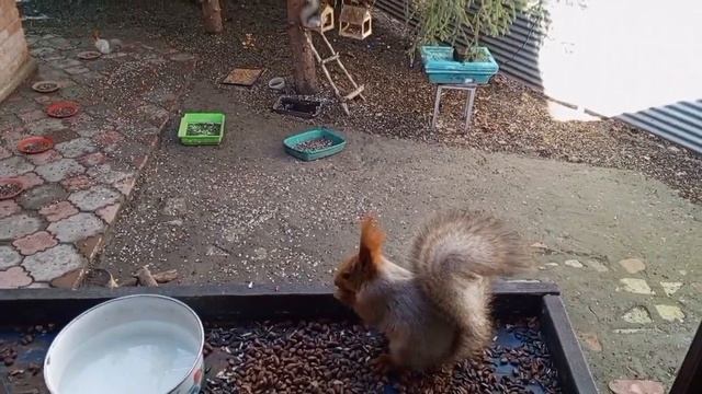 пятница в вольном зоопарке