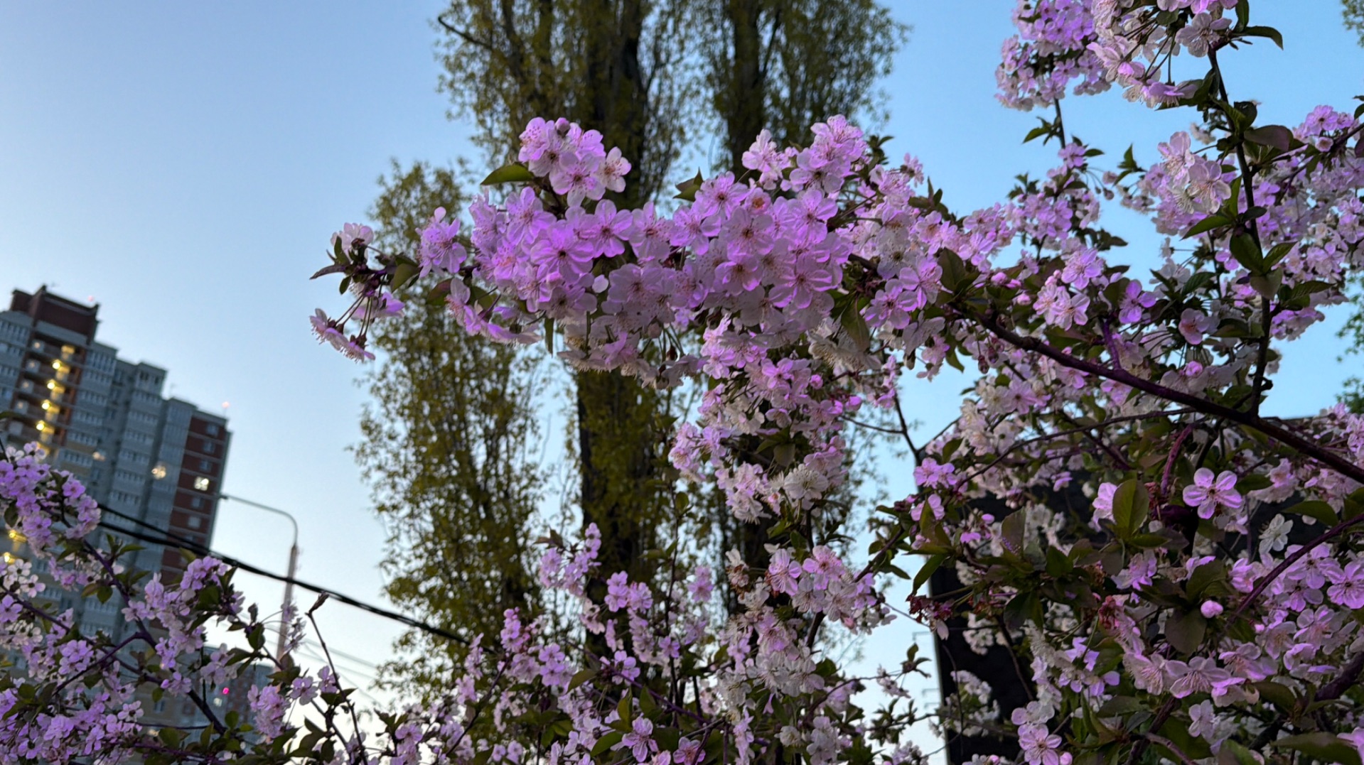 Пряжа к чаю отчет 5. Участник 24.