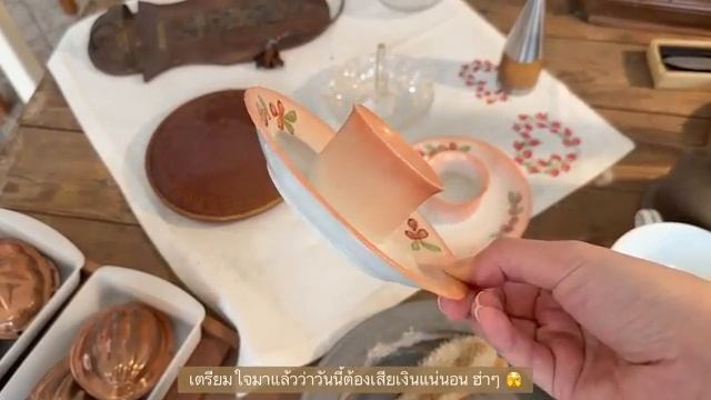 видеоблог Чиангмая: ловушка кота Чака