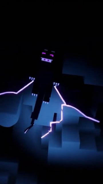 He Fought The Ender Dragon And WON!