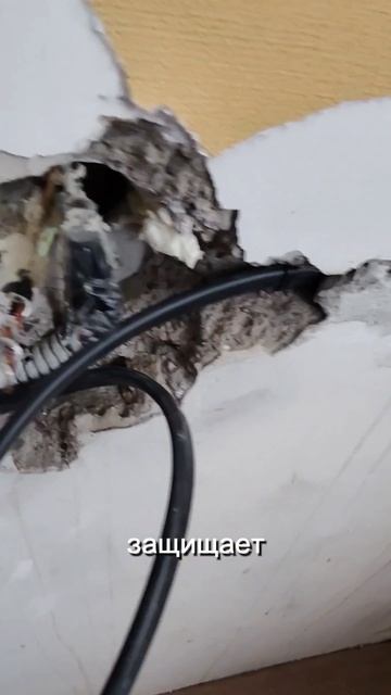 Ошибки Камчатских электриков