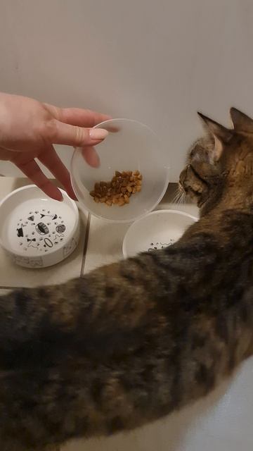 Сколько вешать в граммах