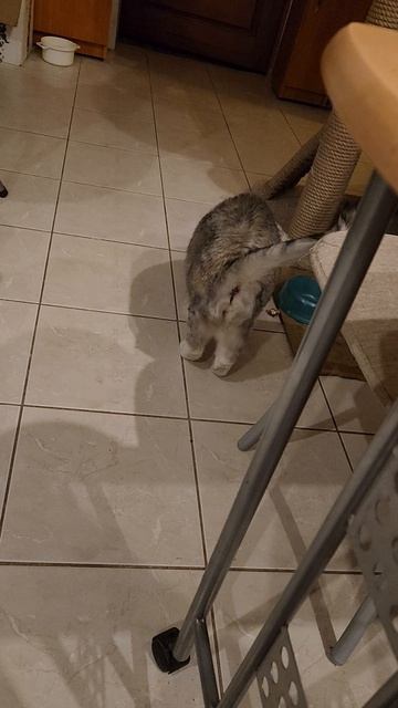 Весёлая игра