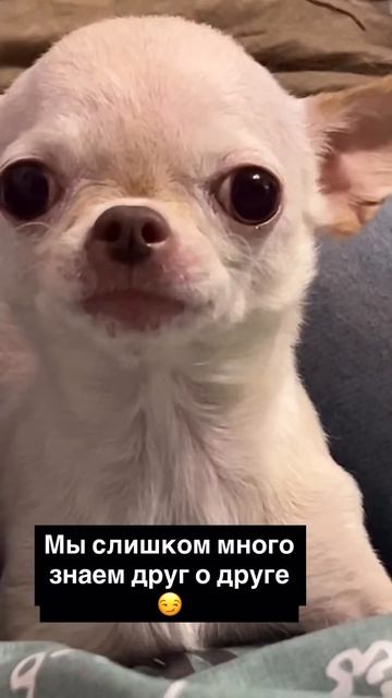 DEMONIKA  любить 