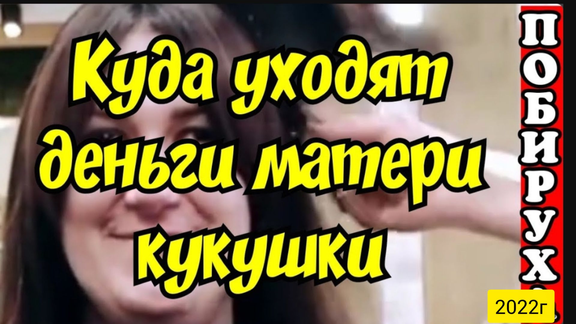 Деревенский дневник очень многодетной мамы _Куда уходят деньги матери-кукушки _Обзор Влогов _Алексей