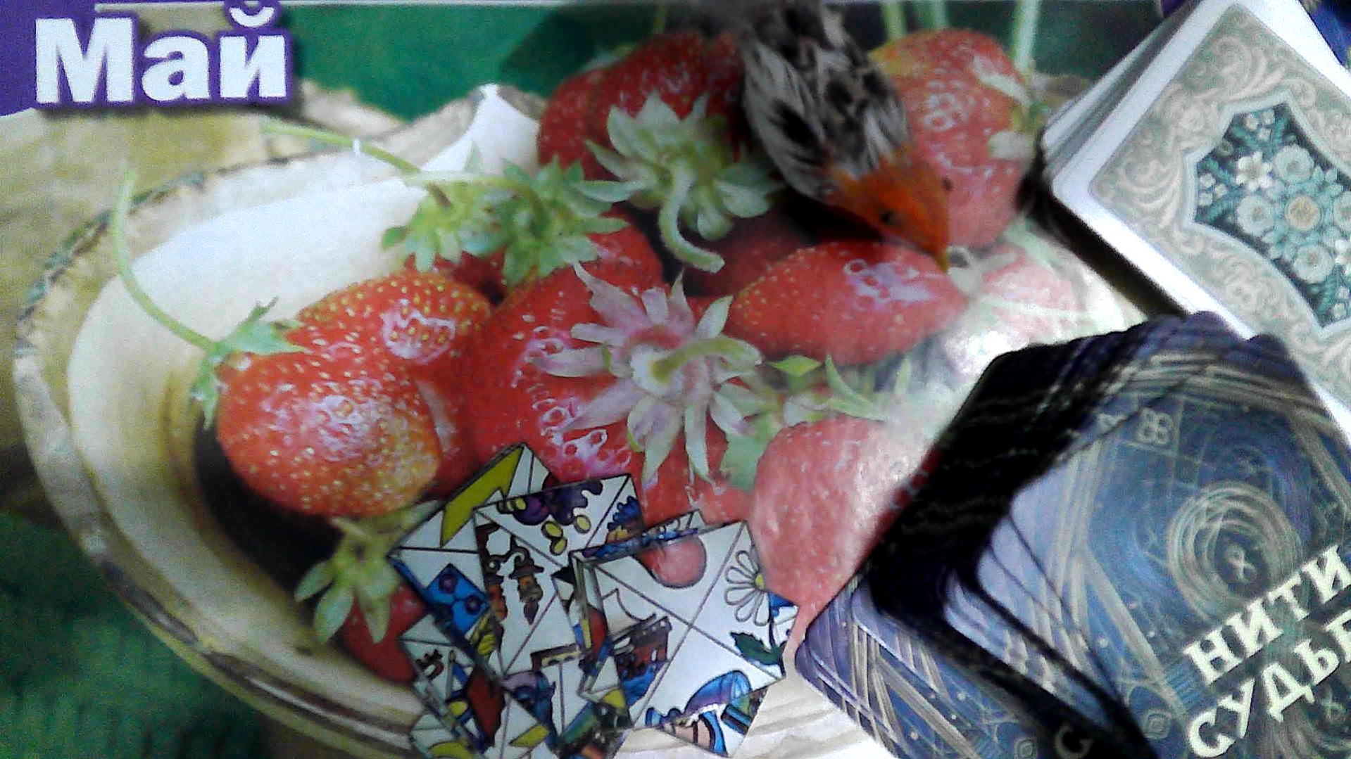 май 2026 г. по вариантам. тайм-коды в описании.