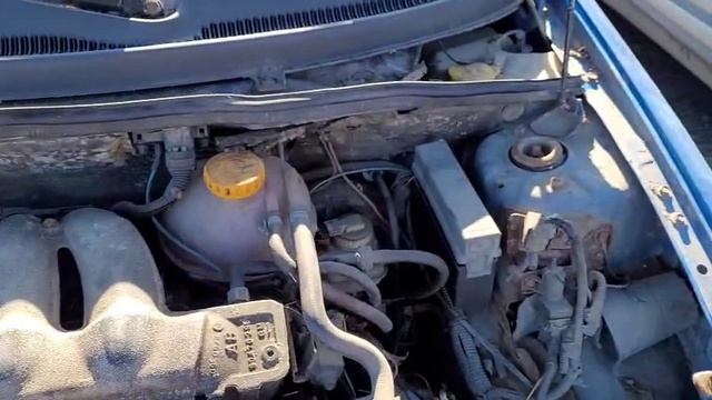 VID-20260425-WA0000.mp4