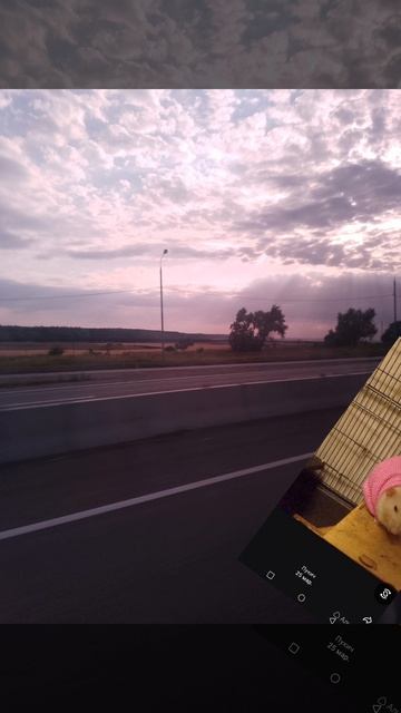 жиробас Рататуй разгромил Окинаву и съел всë