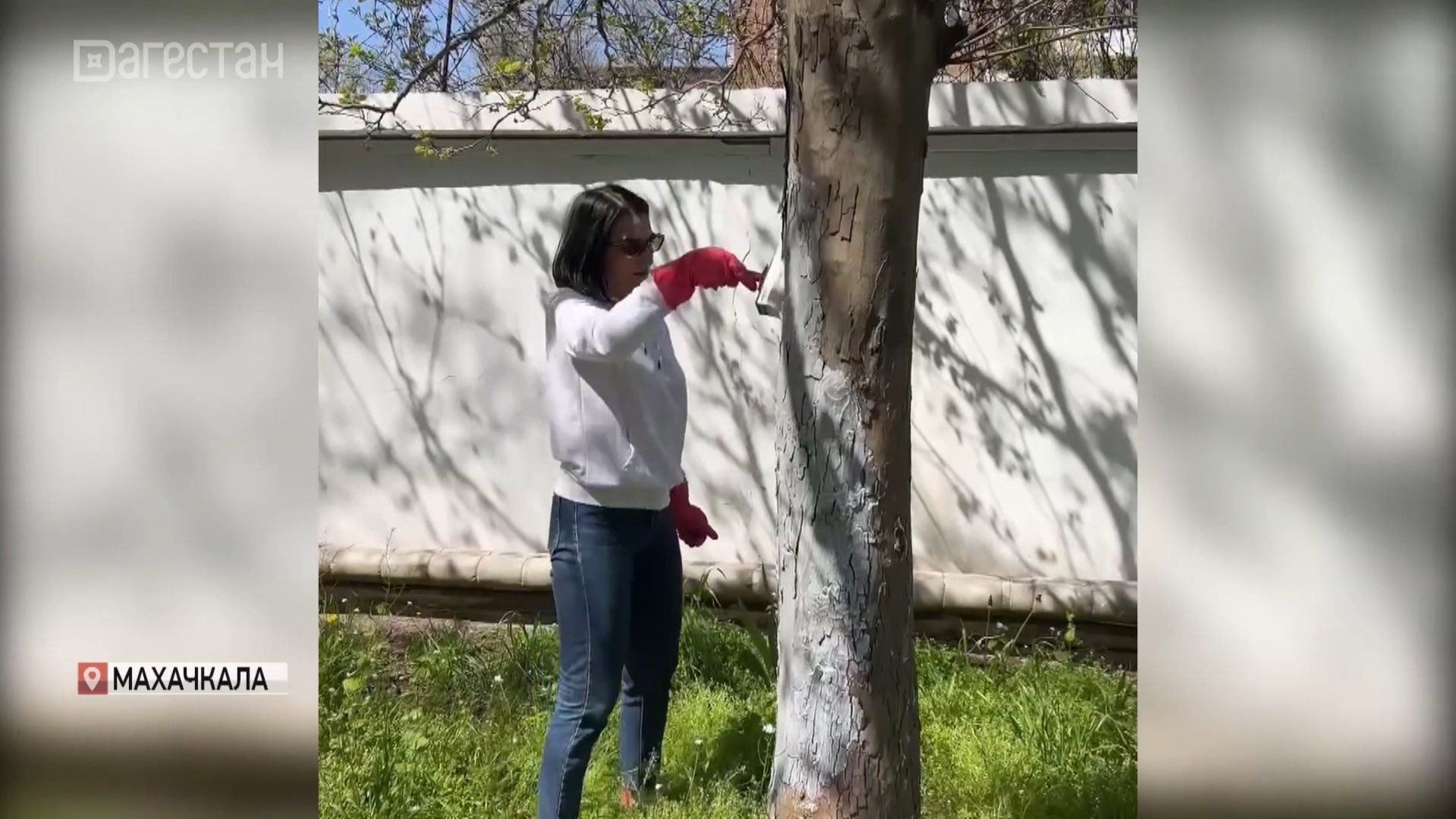 Коллектив телекомпании РГВК Дагестан провел субботник