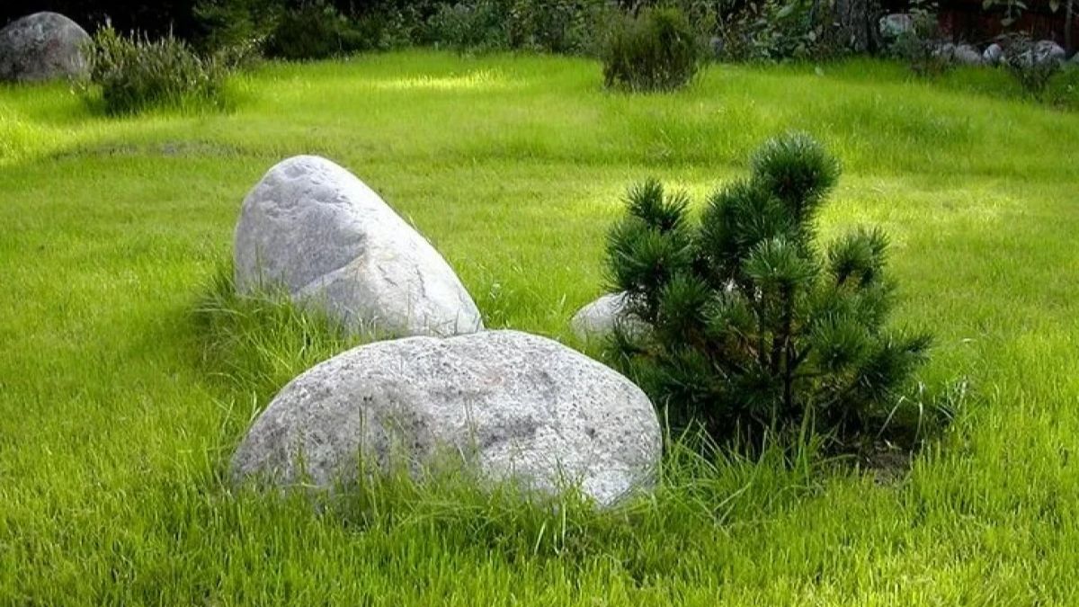 Природный камень валун Кавказ