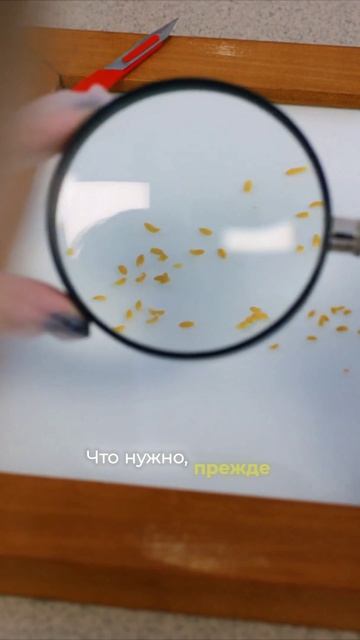 Чек-лист: как безопасно купить квартиру