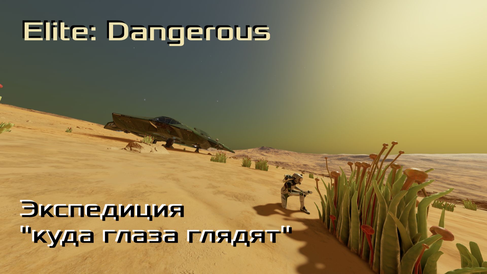 Elite: Dangerous. Экспедиция куда глаза глядят