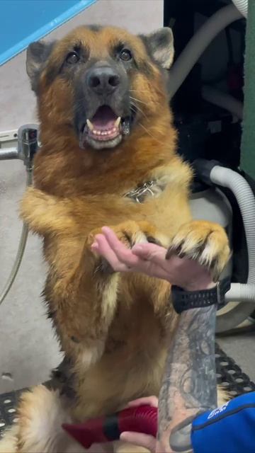 Очередное занятие по плаванию.